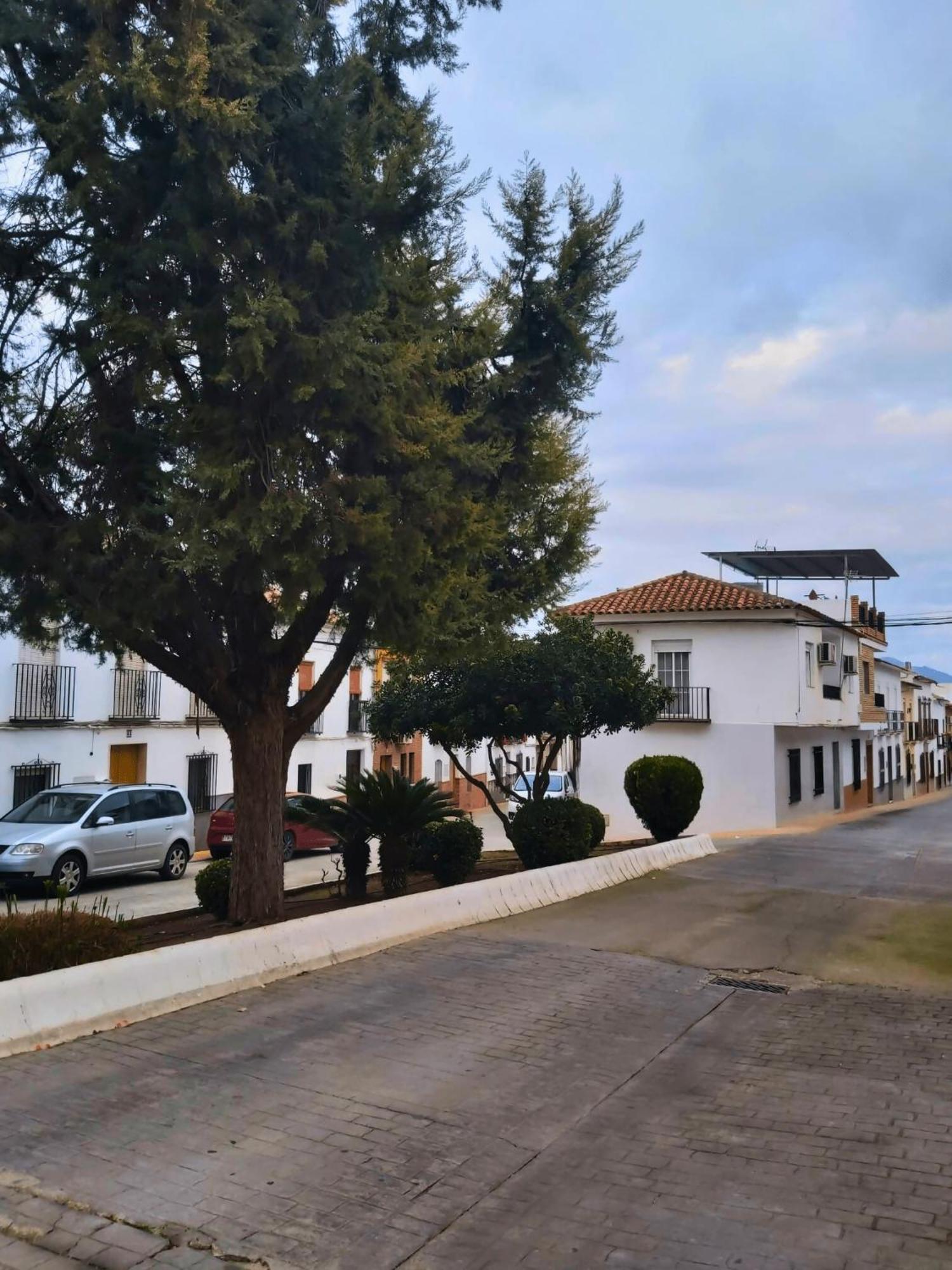 Arcadia Centro De Andalucia Villa Encinas Reales Kültér fotó